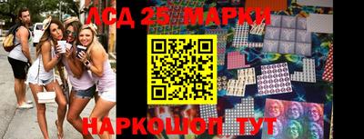 гидра Новозыбков