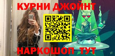 гидра Новозыбков
